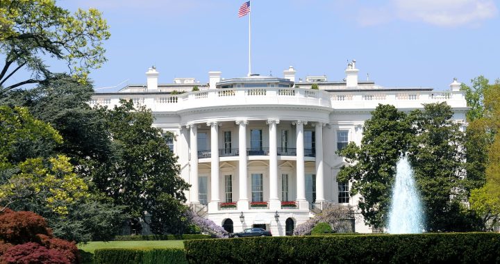 “White House Wire” Launches to Correct Fake News